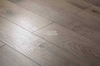 Ламинат Floorway Standart 12мм PRE-64 Дуб Limed фото 1 | FLOORDEALER